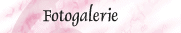 Fotogalerie